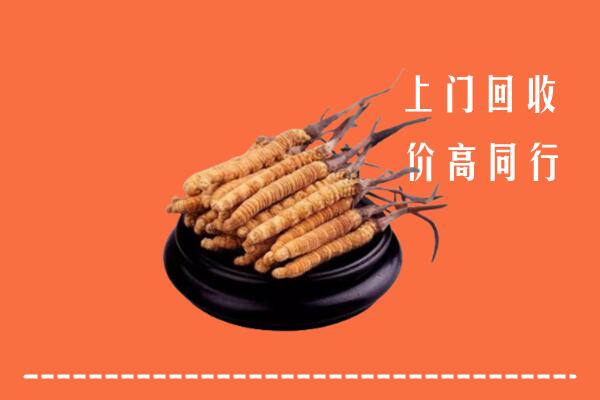 高价求购：安顺西秀回收散虫草