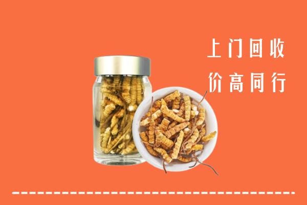 安顺西秀回收冬虫夏草